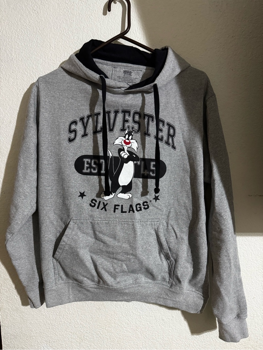 Two hoodies Sylvester and Tweety Gray Hoodie Sweatshirt